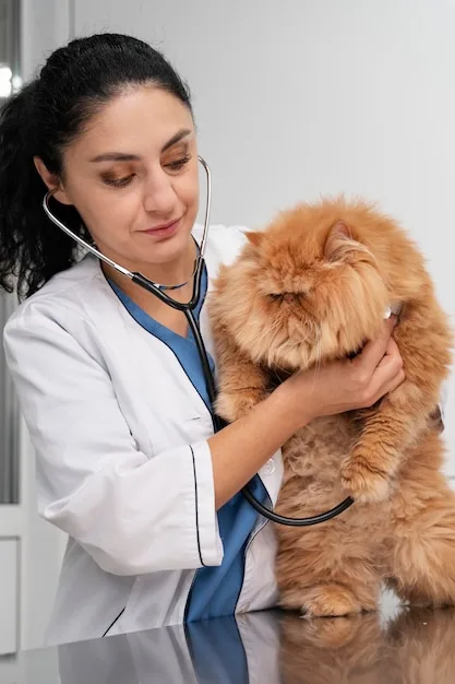 cardiologista veterinário em Vitória