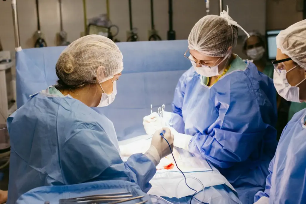 cirurgia de animais