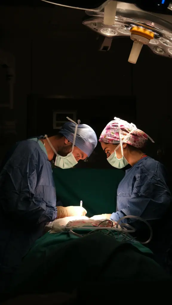 cirurgia de animais