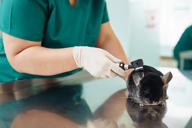 exame de ouvido para cães