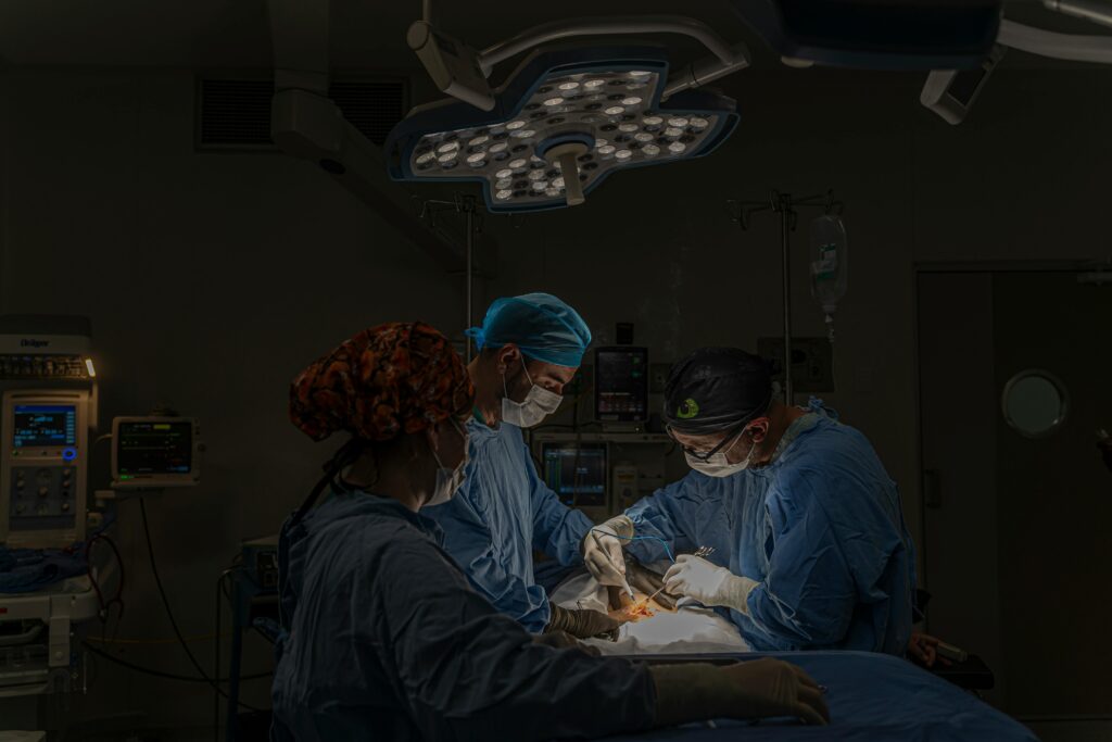 Neurocirurgia Veterinária