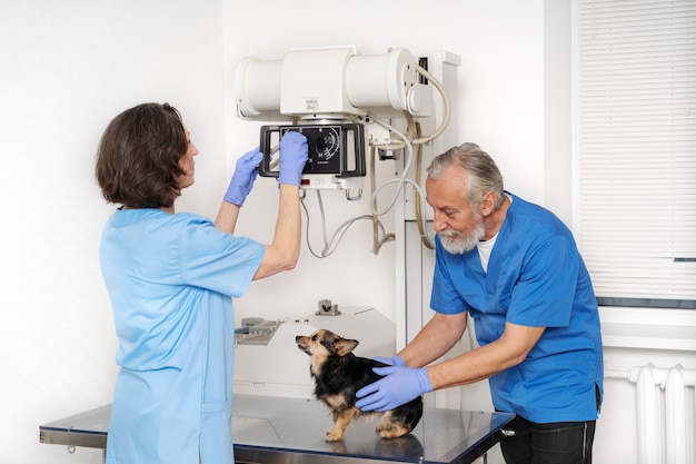 Raio-X Odontológico Veterinário