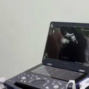 ultrassom pet